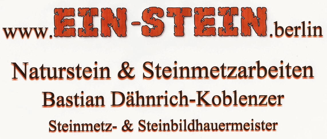 Logo Einstein